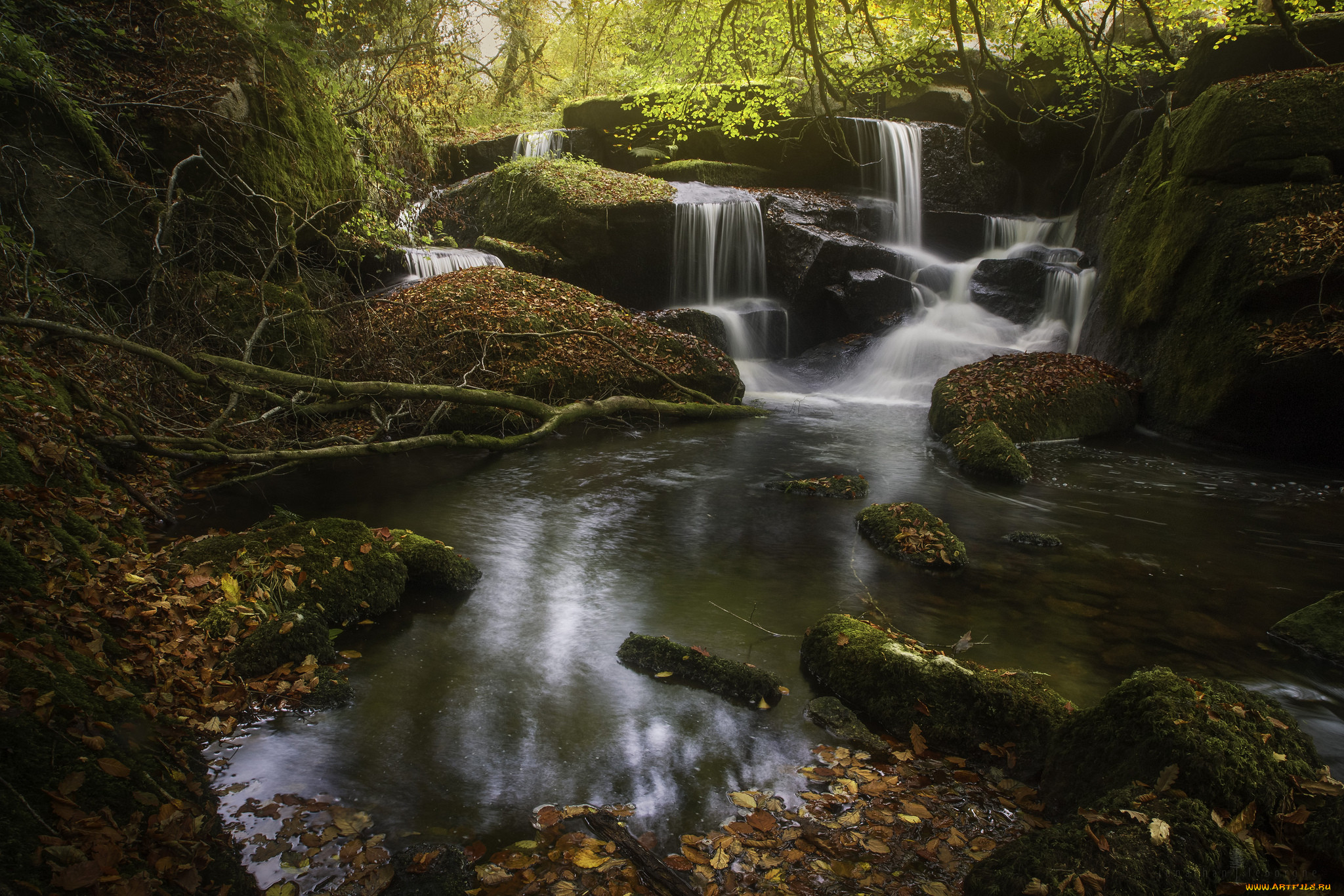 , , stream, , , , , , waterfall, autumn, water, leaves